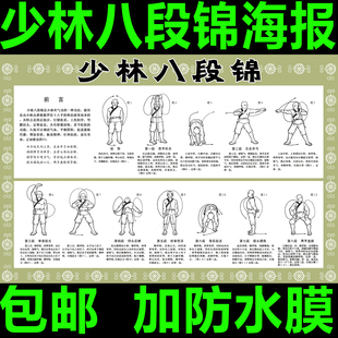少林八段锦挂图中医养生海报文化宣传展板养生图片挂画养生馆