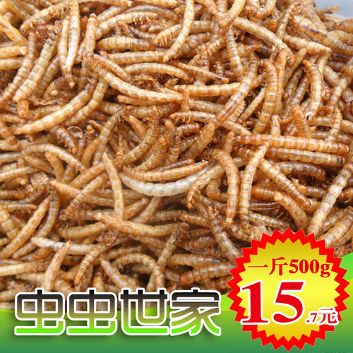 面包虫干500g营养蛋白质仓鼠粮龟