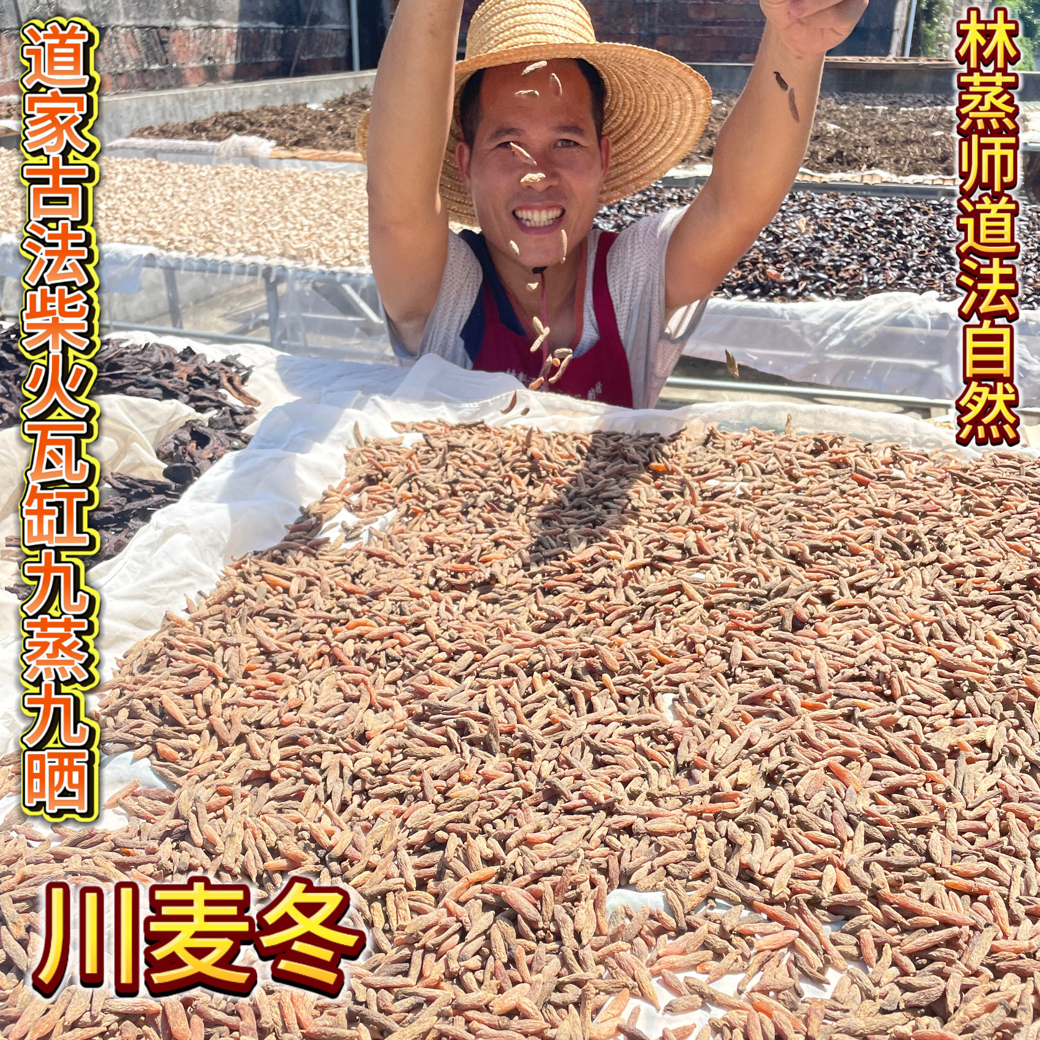 《林蒸师》炒制九蒸九晒300多款