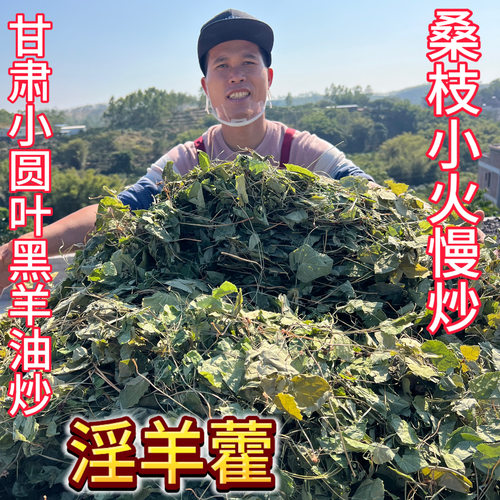 《林蒸师》古法九蒸九晒100余款