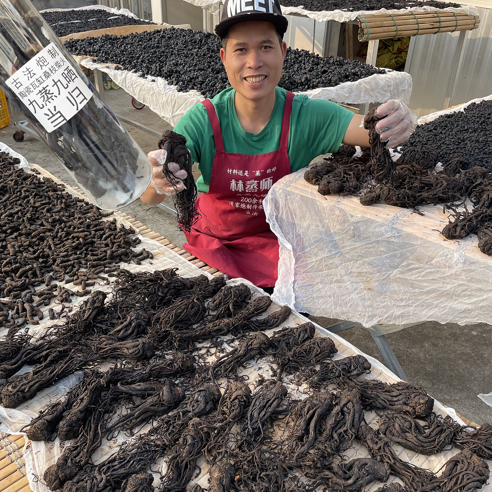 《林蒸师》九蒸九晒当归