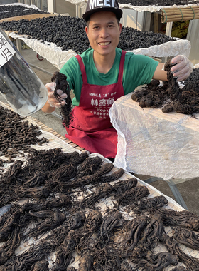 当归条九蒸九晒古法柴火瓦缸蒸制归头熟炖汤四物汤即食片泡酒材料