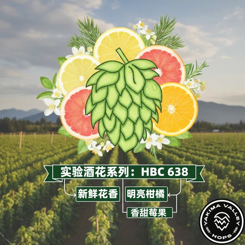 HBC638实验酒花美国香花包邮