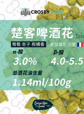 楚客啤酒花Triskel 花果香型苦度低 法国原装进口 新鲜颗粒啤酒花