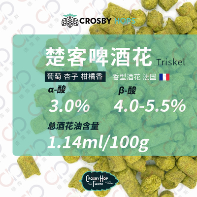 楚客Triskel花果香型法国啤酒花