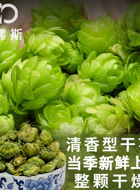 啤酒花干花当季新花上市卡斯卡特25季Cascade 香气新鲜香型啤酒花