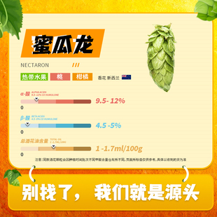 新西兰酒花 蜜瓜龙Nectaron 明星酒花 当季新品 浓果香型 啤酒花