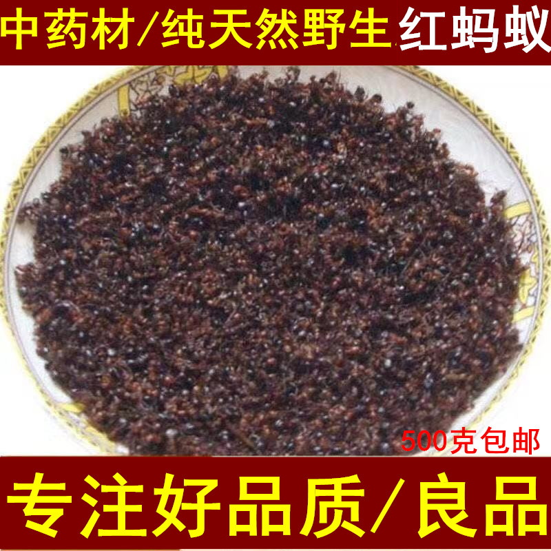 中药材长白山野生红蚂蚁500g包邮
