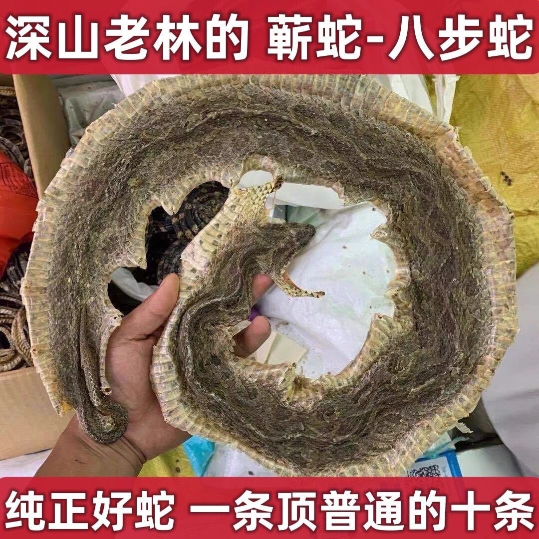 中药材蕲蛇干500克五步蛇 八步蛇整条大蕲蛇干泡酒蝮蛇白花蛇
