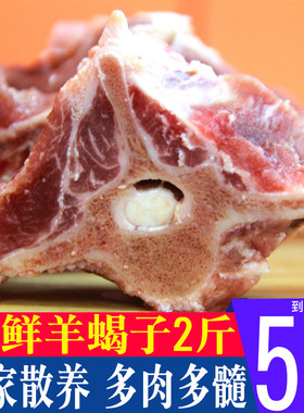 羊蝎子新鲜2斤包邮农家散养羊脊骨冷冻炖汤火锅底料食材羔羊肉