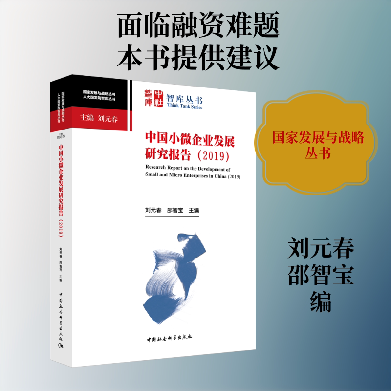 正版包邮//中国小薇企业发展研究报告