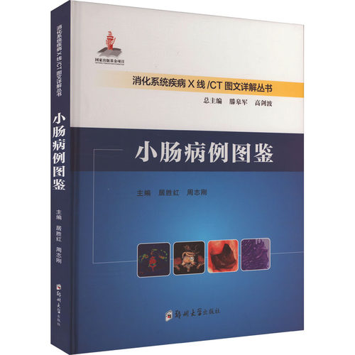 正版包邮//小肠病例图鉴