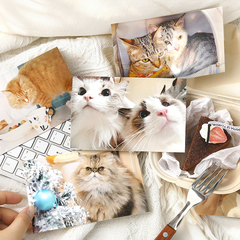 信的恋人 人，Do u love咪系列明信片30张可爱猫咪喵星人摄影插画墙贴装饰手写祝福留言卡萌宠动物生日贺卡