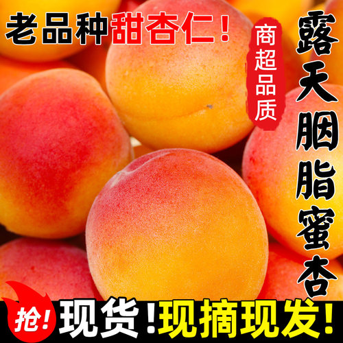 陕西胭脂红杏4斤应当季孕妇酸杏包邮青杏子甜杏新鲜水果整箱3