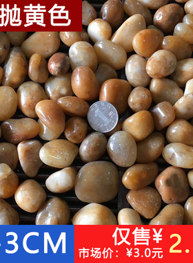深度高抛黄色鹅卵石雨花石 铺路石家装石按摩石鱼缸石1-3cm