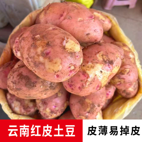 江江的姜云南红皮土豆