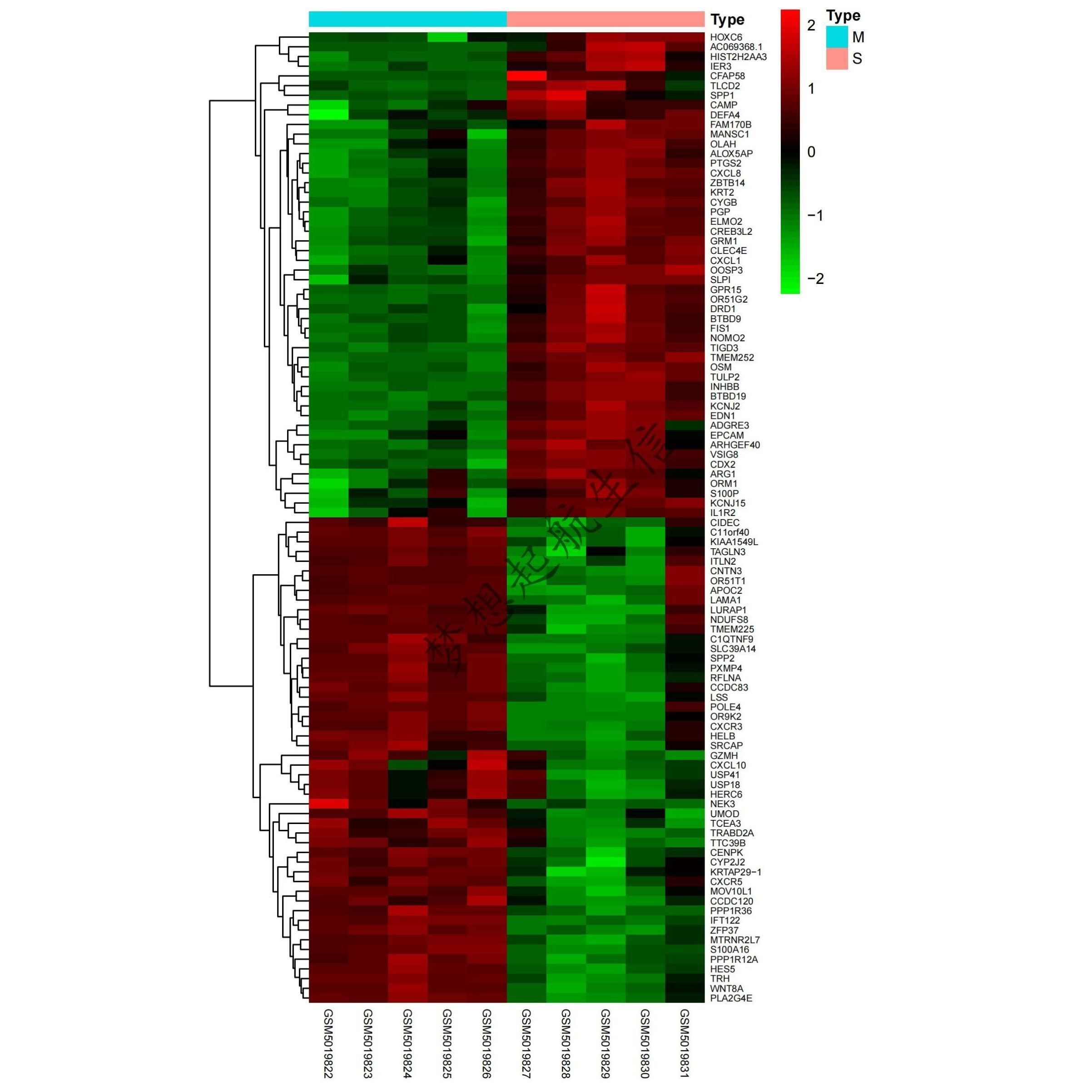 Chlp-seq1对1辅导零基础生信分析服务