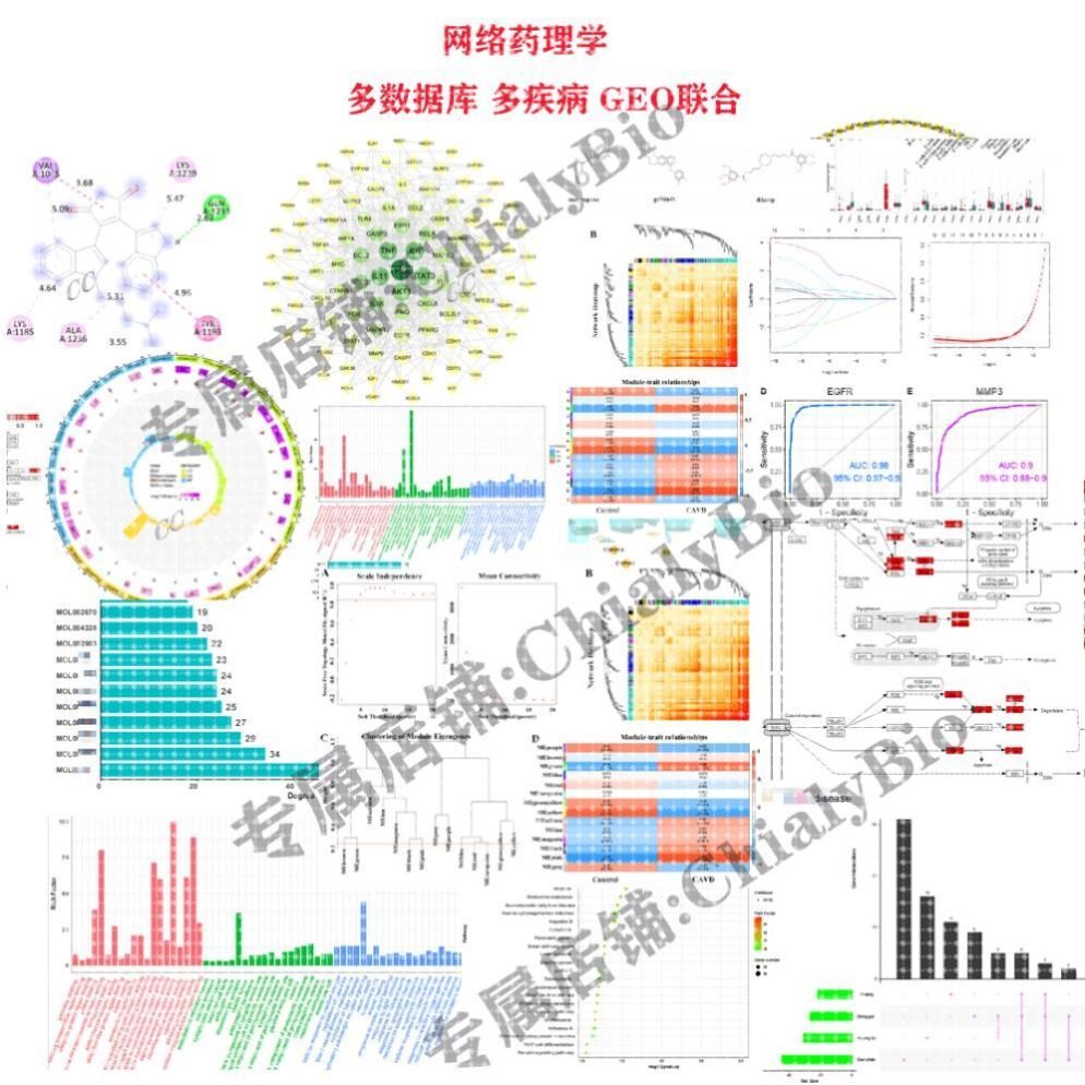 网络药理学中药复方单味药化合物KEGG富集分析机制多疾病分子对接