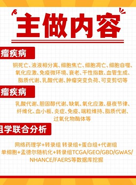 Lammps Vasp辅助网络药理学分子对接靶点筛选