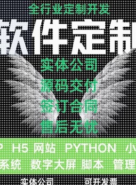 计算机程序设计JAVA代码编写MATLAB项目c+代编代做开发软件python