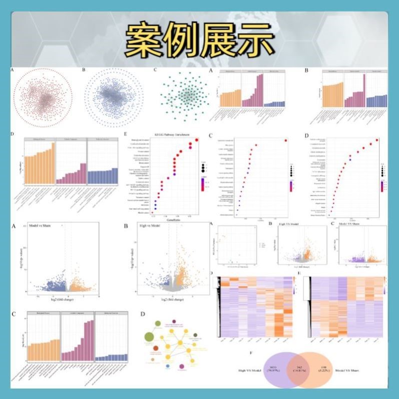 生信分析靶孟德尔随机化MR样本遗传分析服务R代码TCGAGEONHANES