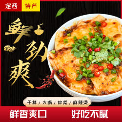 甘肃特产定西宽粉土豆粉速食手工大宽流汁火锅食材细鲜粉条3袋装