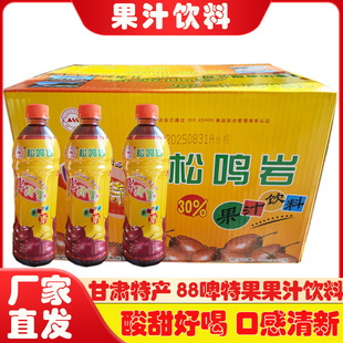 甘肃特产88啤特果果汁饮料和政松鸣岩整箱15瓶包邮500ml/瓶