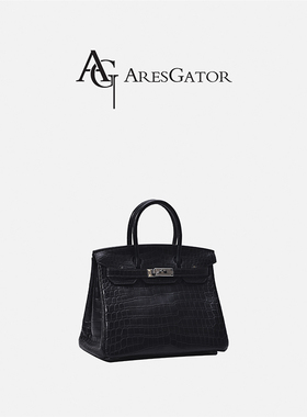 Aresgator尼罗鳄铂金包时尚百搭大牌同款小众设计高级感手提女包