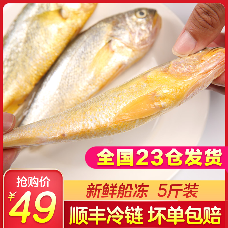 新鲜舟山小黄鱼冰冻小黄花鱼冷冻生鲜海鲜黄花鱼东海野生烧烤5斤