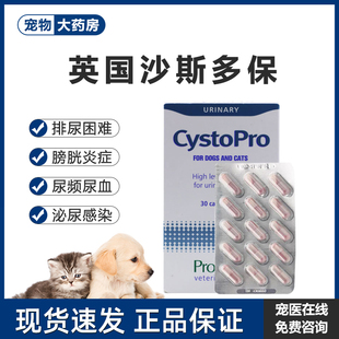 英国沙司多保犬猫泌尿感染利尿通结石尿频尿血感染膀胱炎沙斯多保