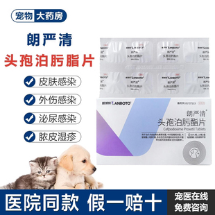 朗博特朗严清头孢泊肟脂片猫咪狗狗消炎药感冒皮肤病泌尿系统疾病