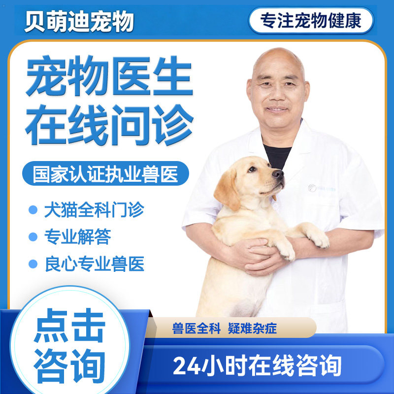 宠物问诊兽医在线问诊宠物医院医在线问诊