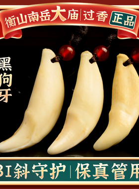 保真正宗宝宝婴儿狗牙齿