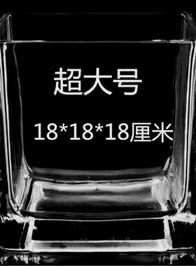 方缸玻璃花瓶透明长方形花盆带定植篮可水培绿萝摆放客厅茶几装饰