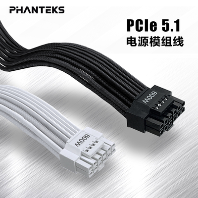 追风者12V-2x6电源模组转接线