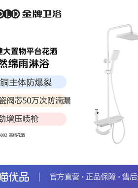 金牌卫浴GOLD 5802四挡出水钢琴按键花洒 KA（不含安装）KA05802