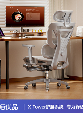 TotGuard人体工学椅电脑椅家用办公座椅电竞椅久坐撑腰靠背椅子E1