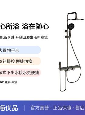 金牌卫浴GOLD 枪灰色大置物平台 四挡淋浴花洒套装KA05805