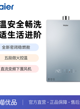 【精品】Haier/海尔 JSQ31-16FTE-FJXGU1 燃气热水器