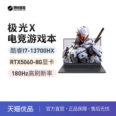 机械革命极光X/I7-13700HX/5060