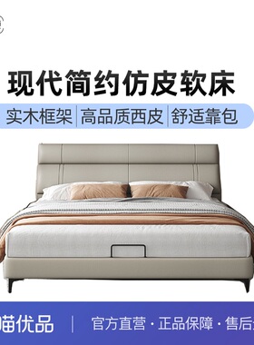 双纯卧室双人床现代简约百搭风格C005