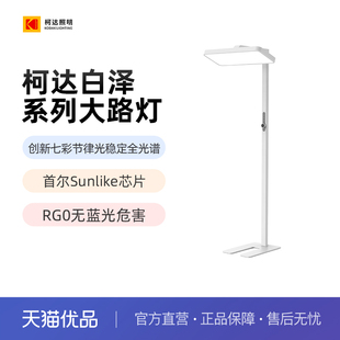 Kodak柯达大路灯儿童学习专用台灯全光谱落地护眼灯桌面大路灯