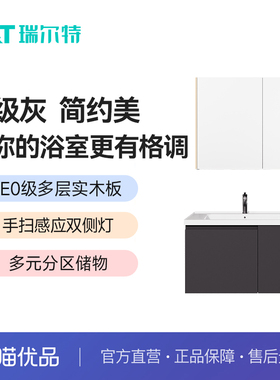 瑞尔特Y1061高级灰简约美浴室柜E0级环保PUR封边多层实木板