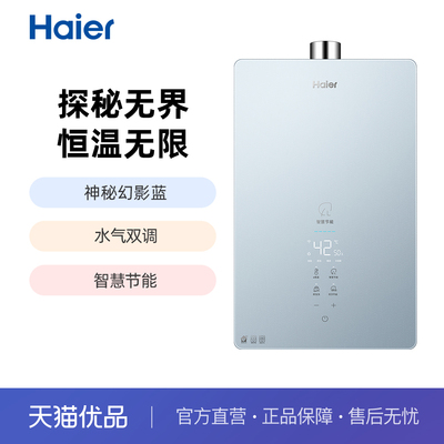 Haier/海尔家用天然气智能恒温