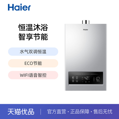 海尔水气双调12升燃气热水器
