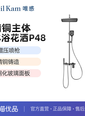 唯感（Veil Kam）P48精铜主体四功能冷热款淋浴花洒