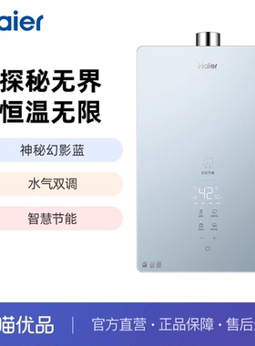 Haier/海尔 JSQ30-16DM7(12T)U1 燃气热水器家用智能恒温