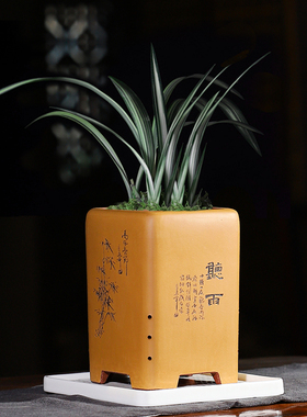 蔓木人宜兴紫砂花盆兰花盆精品手工刻绘绿植黑色花卉古典春兰桌面