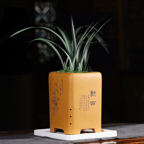 蔓木人宜兴紫砂花盆兰花盆精品手工刻绘绿植四方花卉古典春兰桌面