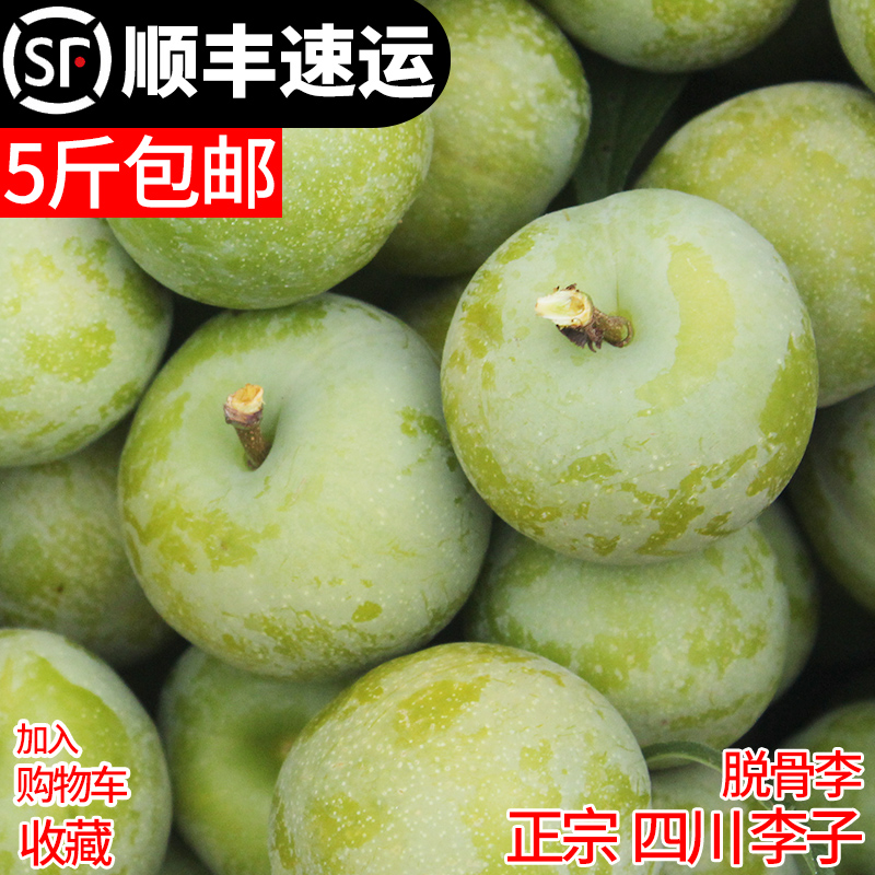 李憲強著